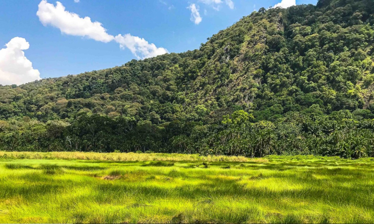 3-Day Semuliki National Park Safari Itinerary Uganda