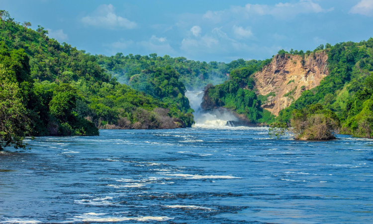 7-Day Murchison Falls, Semuliki, Kibale & Queen Elizabeth Safari