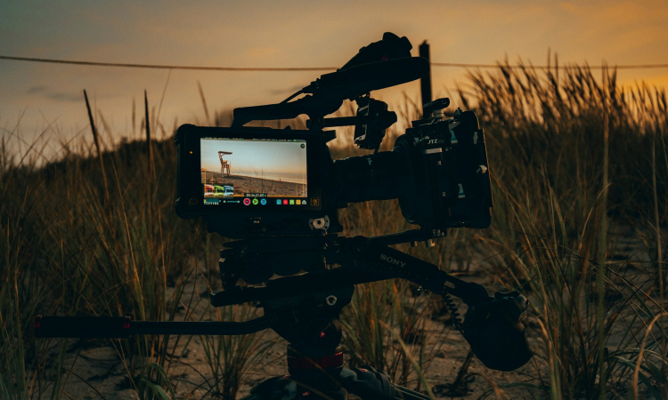 Filming & Photography in Semuliki National Park Uganda