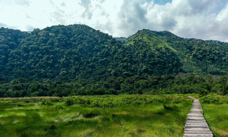 How Big is Semuliki National Park in Uganda